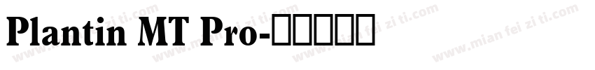 Plantin MT Pro字体转换